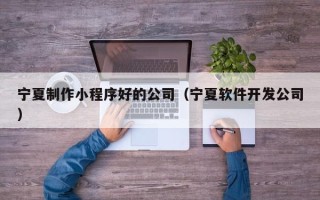 甘肃宁夏制作小程序好的公司（宁夏软件开发公司）